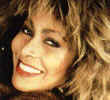  _TinaTurner.bmp (33254 bytes)